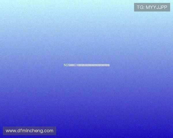 NDS游戏王GX全剧情卡组搭配与隐藏要素通关攻略详解实战技巧